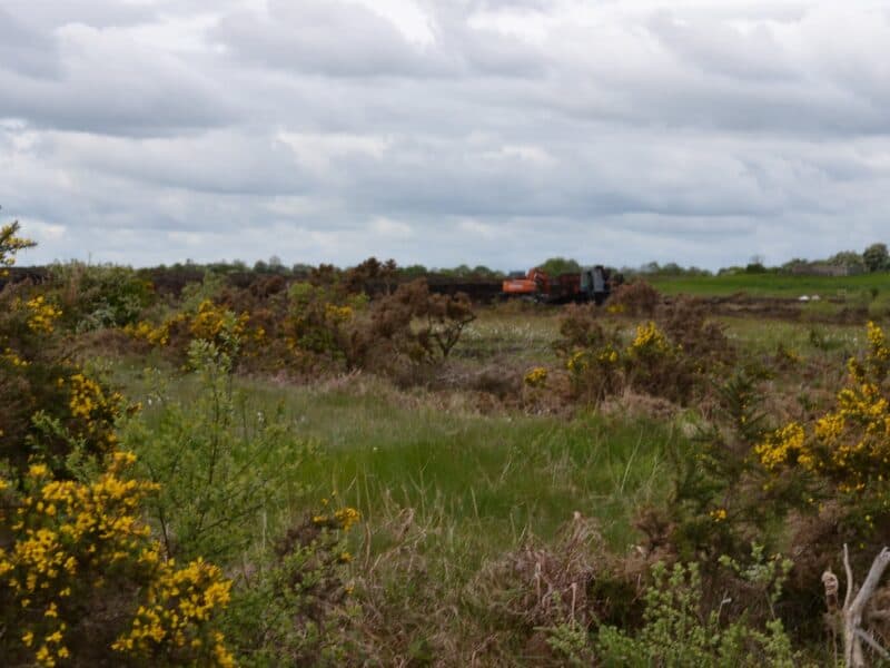 irelands-turf-cutting-tradition-singled-out-as-flouting-nature-law