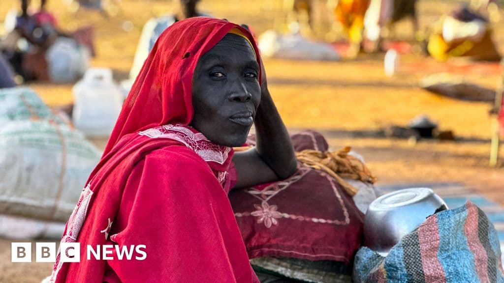 international-court-tells-bbc-of-breakthrough-in-sudan-war-crimes-probe