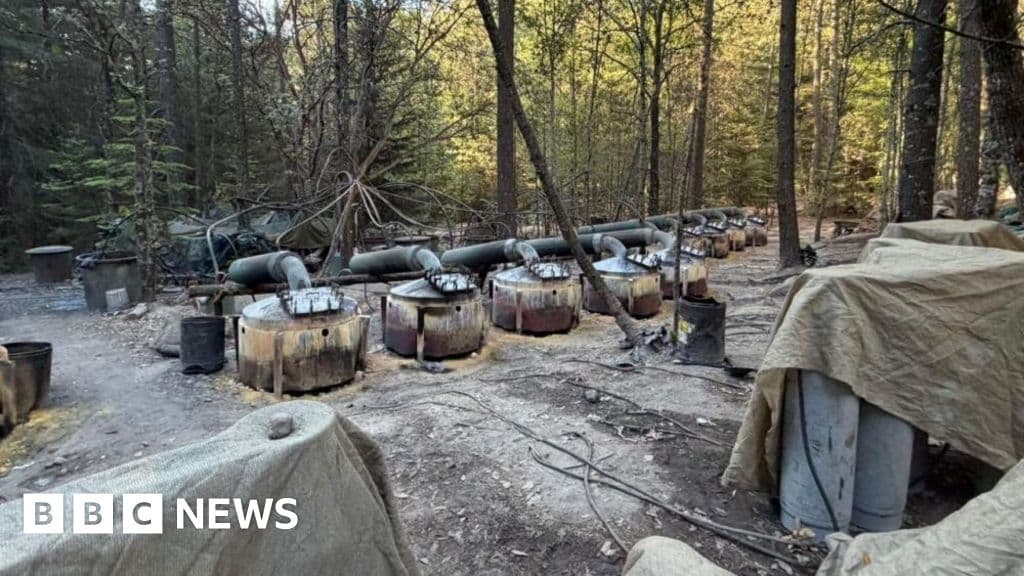 role-of-us-officials-killed-in-crash-in-mexico-under-scrutiny